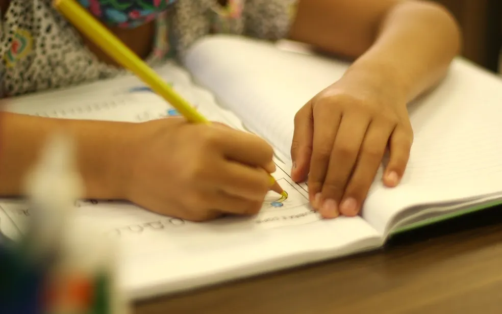 Cadastro Escolar 2024 Para Estudar Na Rede Pública Vai Até O Dia 6/11 ...